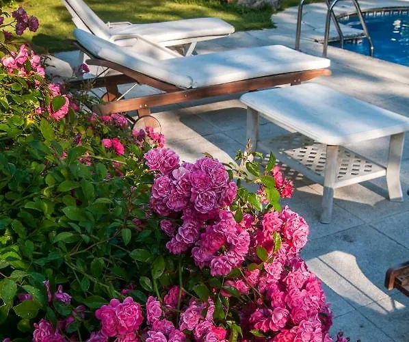 Villadonas, Muy Cerca De Las Playas Con Piscina Privada De Sal *